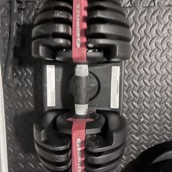 Bowflex SelectTech 552 Adjustable Dumbbell (Single)