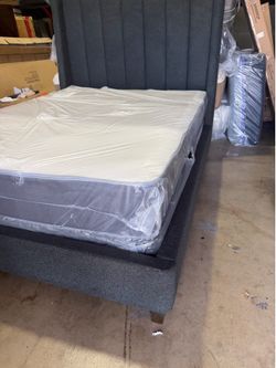 New Queen for $300