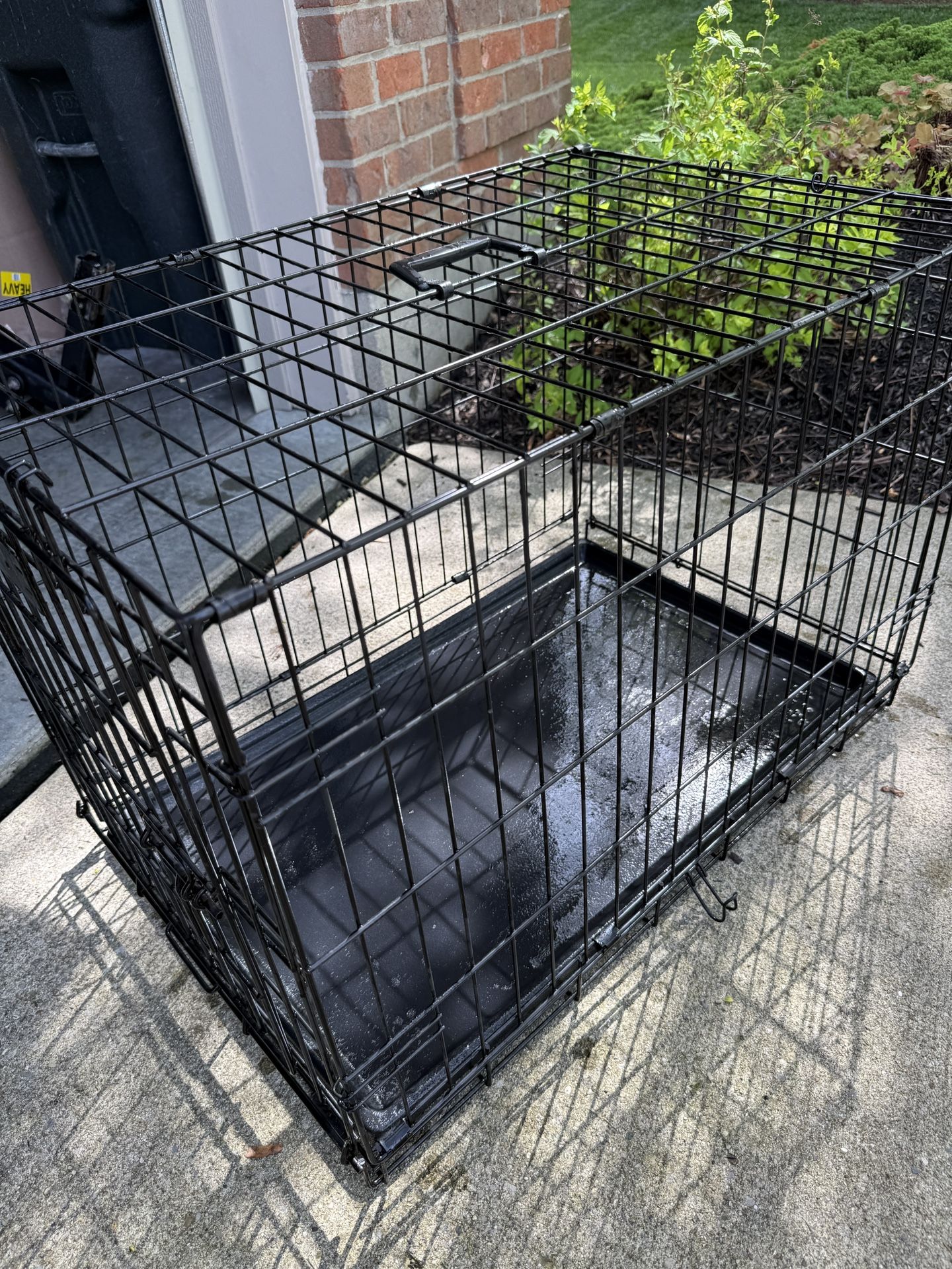 Medium Dog crate in great shape! Size 31x19x21”!