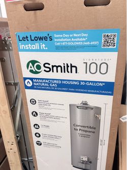 A.O. Smith Signature 100 30-Gallon Tall  32000-BTU Natural Gas Water Heater