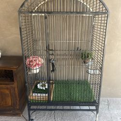 Bird Cage