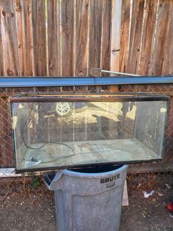 Reptile aquarium