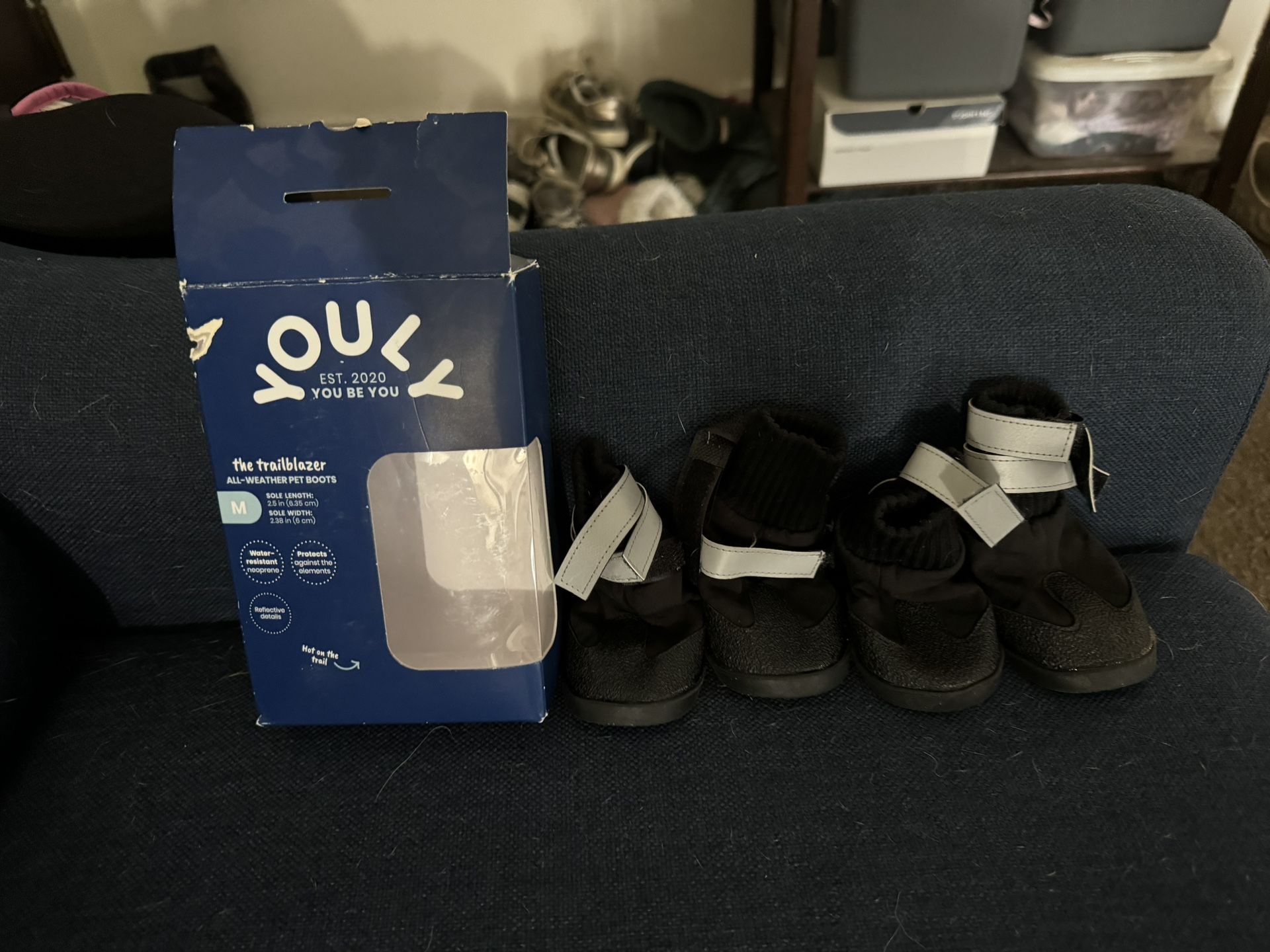 Dog Shoes 