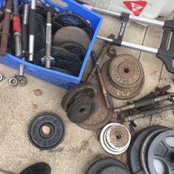 Today Only $1/lb Weights Dumbbells