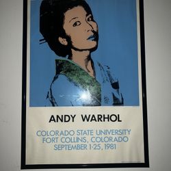 ANDY WARHOL "KIMIKO POWERS" RARE 1981 SILKSCREEN PRINT FRAMED POSTER ORIGINAL