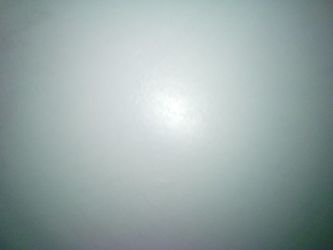 Government Phone With Service Already 