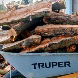 🔥 Dry Almond Firewood  🔥 