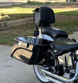 Saddle Bags And Back Rest