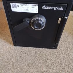 Sentry Safe