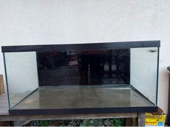 40 gallon fish tank