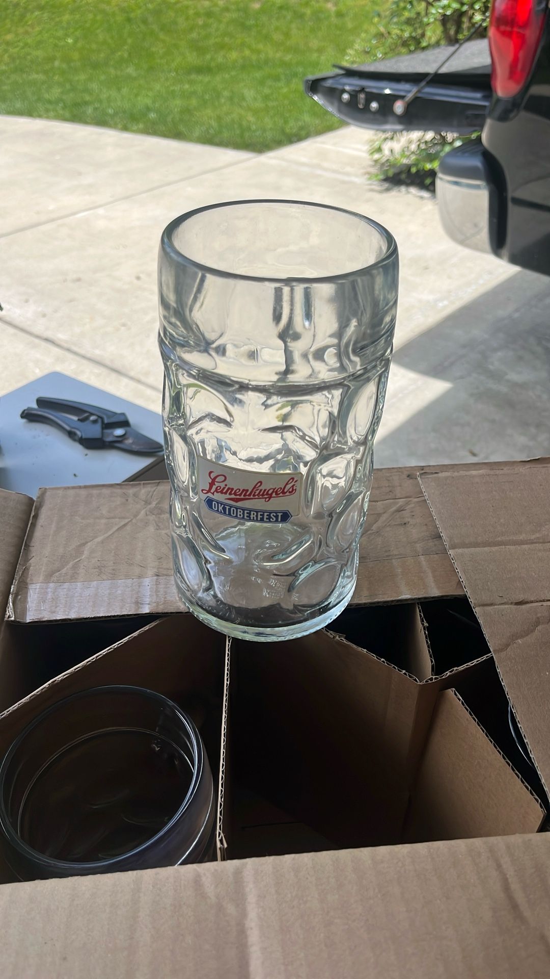Beer Steins X 6