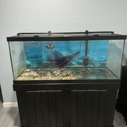 75gl Full Setup Aquarium Fish Tank Fx6 Filter 