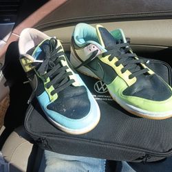 Nike Dunk Shoes Size 11
