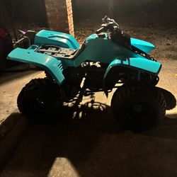 Kawasaki Lakota 300 Four Wheeler