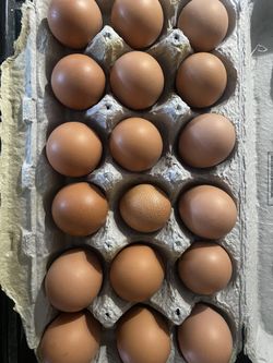 Fresh Farm Eggs 