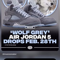 Jordan 5 Wolf Gray All Sizes Dm 