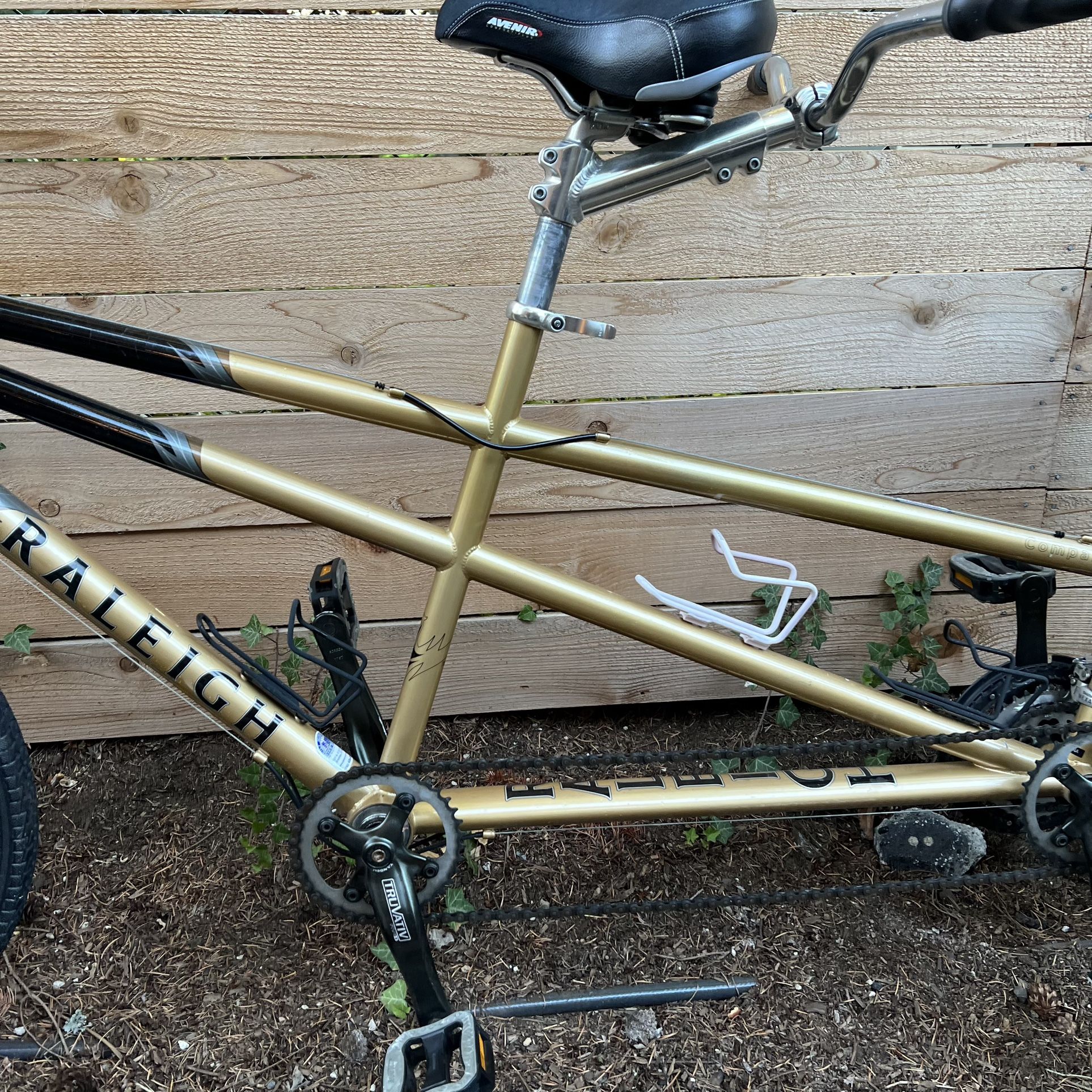 Raleigh companion tandem store bike