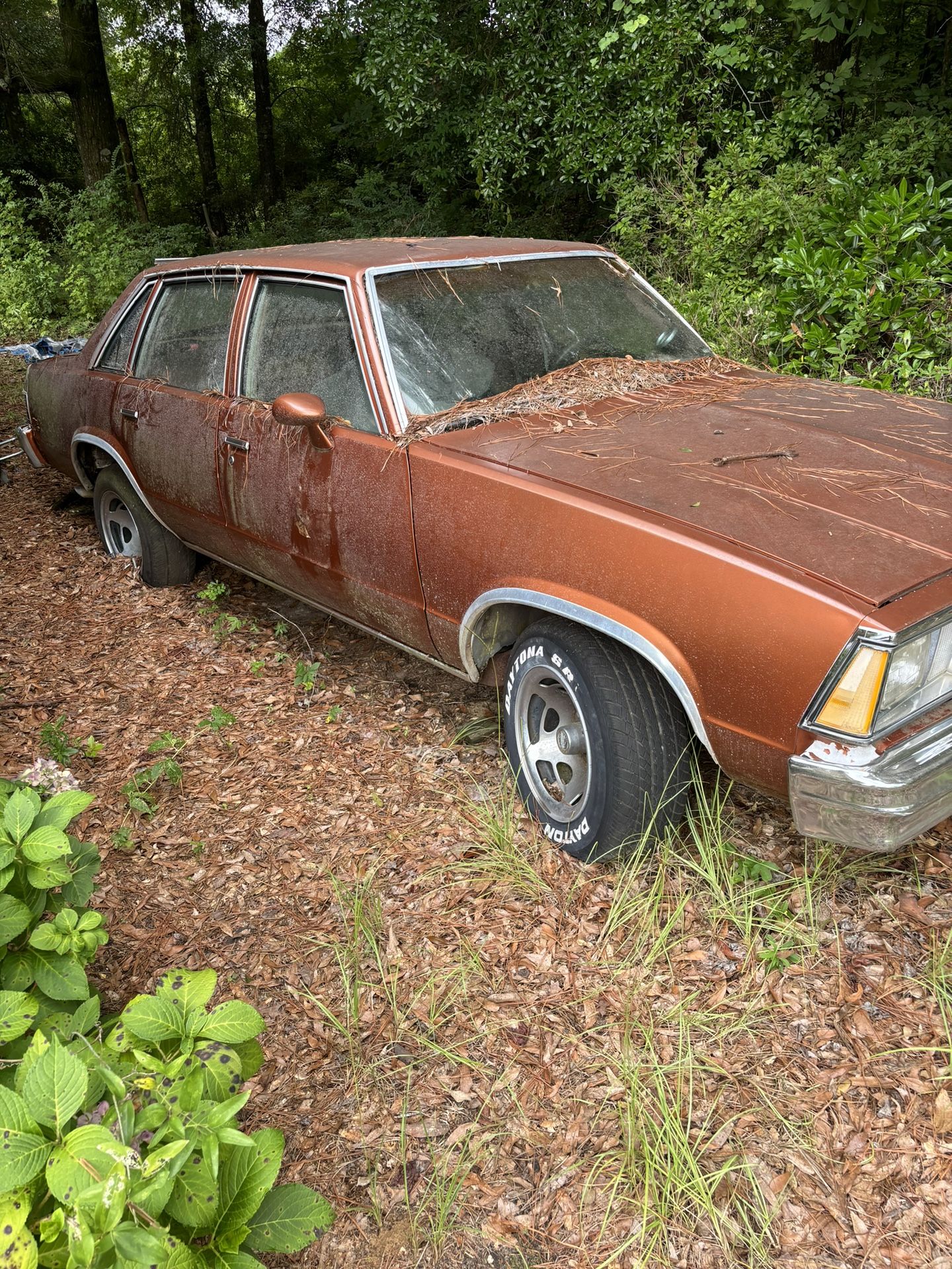 1980 Chevrolet Malibu