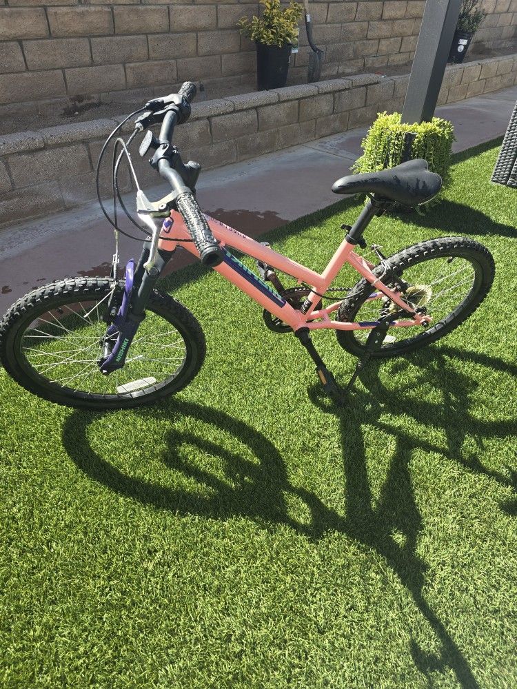 Nishiki Girls Pueblo Mountain Bike
