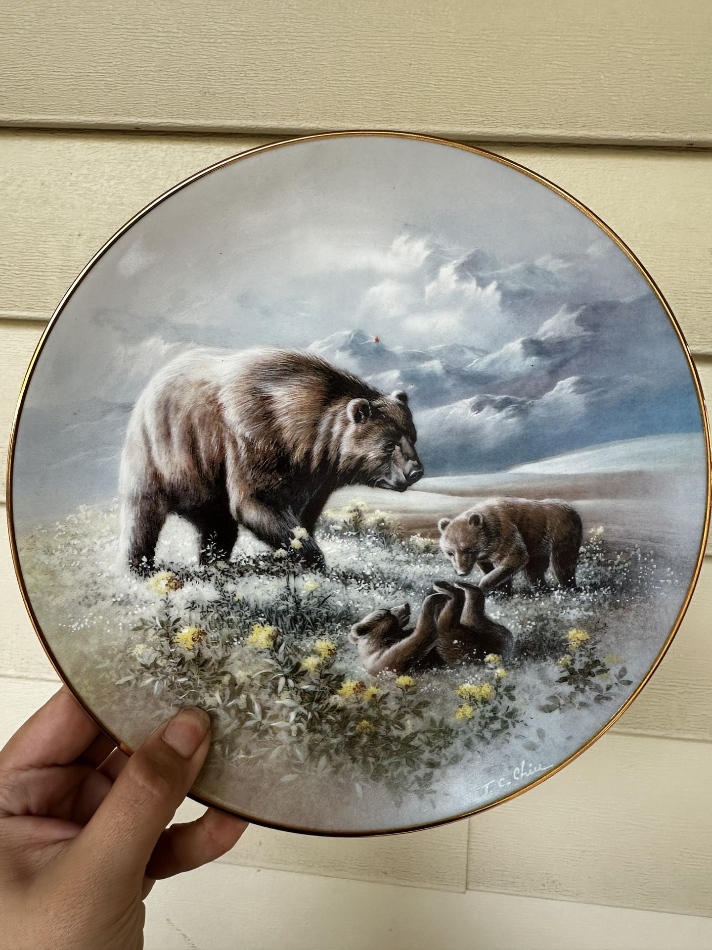 Vintage Bear Collectible Country Decor Plate