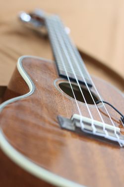 Kala Ukulele Guitar