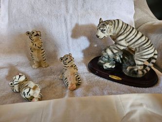 White tiger