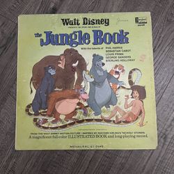 Vinyl Record And Album collection Over $600+ Worth