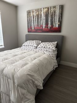 Bed Frame - Queen