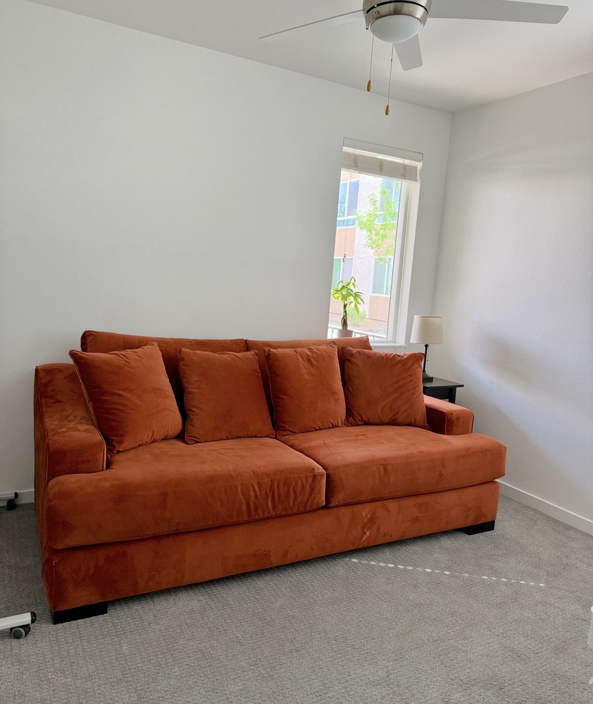 sleeper sofa