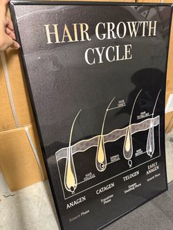 Picture Frame + Poster