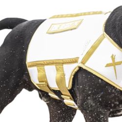 XDog weight and fitness vest