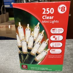 250 Clear Mini Lights Outdoor - Indoor 