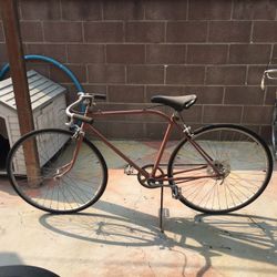 Schwinn