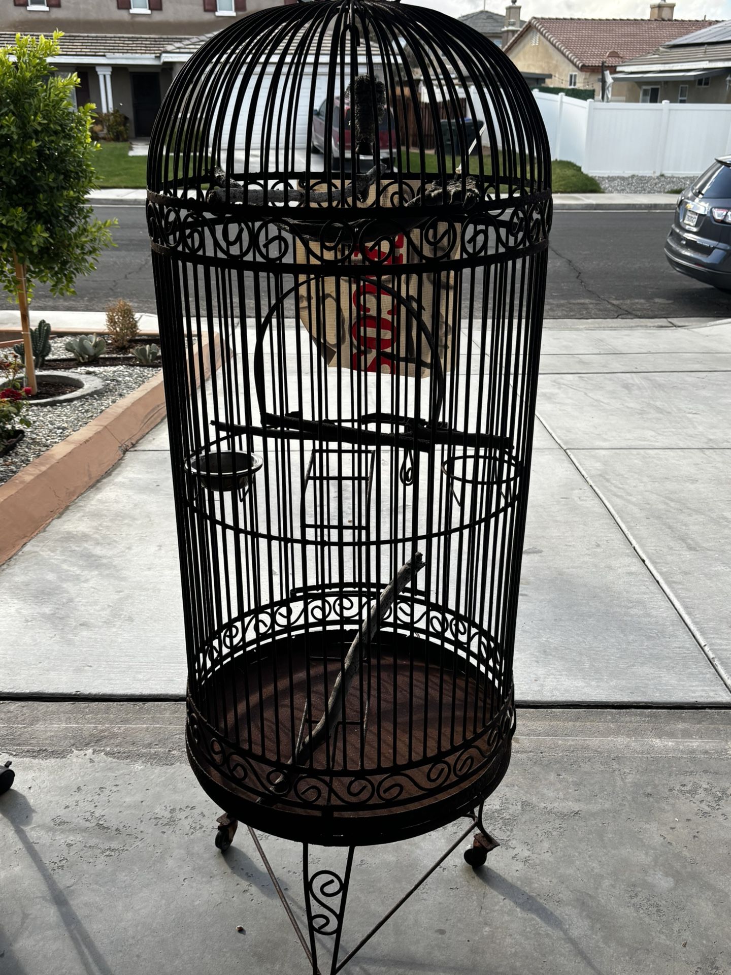 Large bird cage