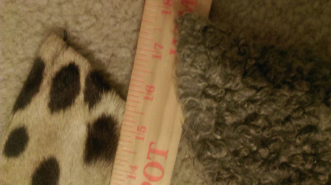 1 leopard and 1 lamb collar vintage real fur