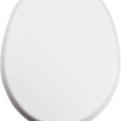 Art of Acryl Elongated Toilet Seat w/Slow Close Chromed Metal Hinges, Wood, Beach