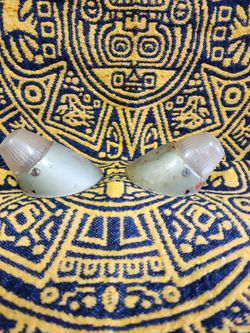 Vw bus front bullets.