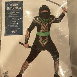 Dragon Slayer Ninja Halloween Costume