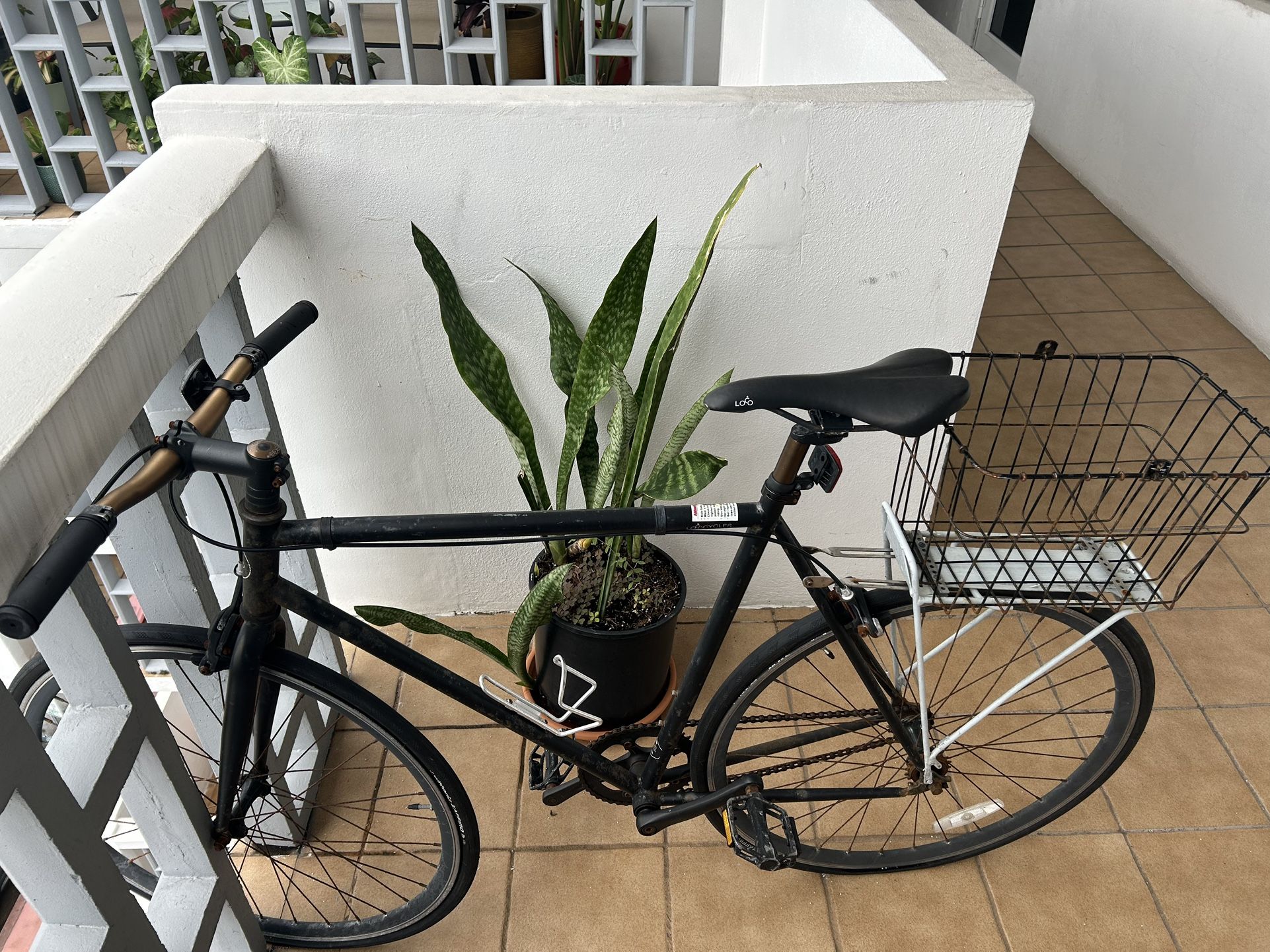 Loco Cycle Single Speed Road Bike – 3 Years Old