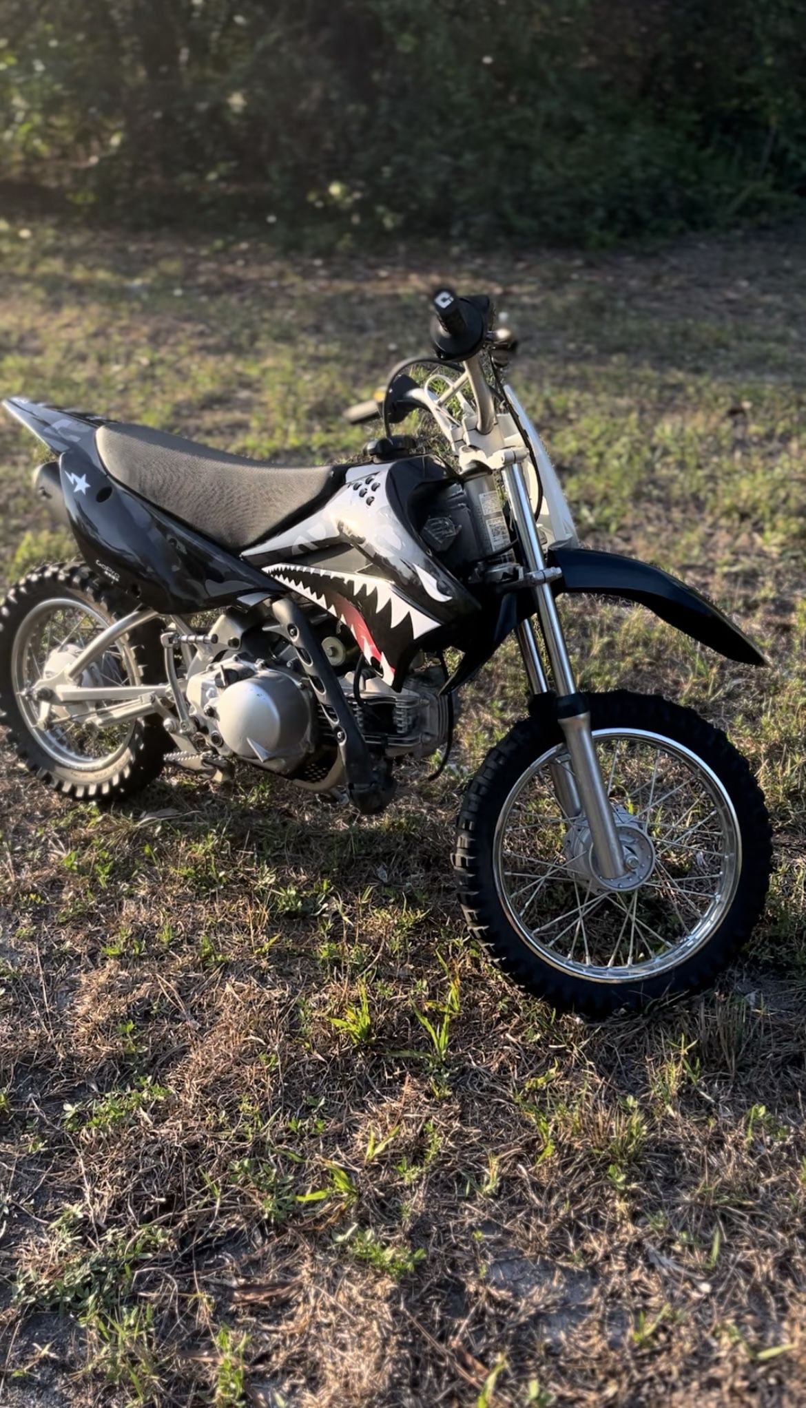 Modded 2016 Klx 110