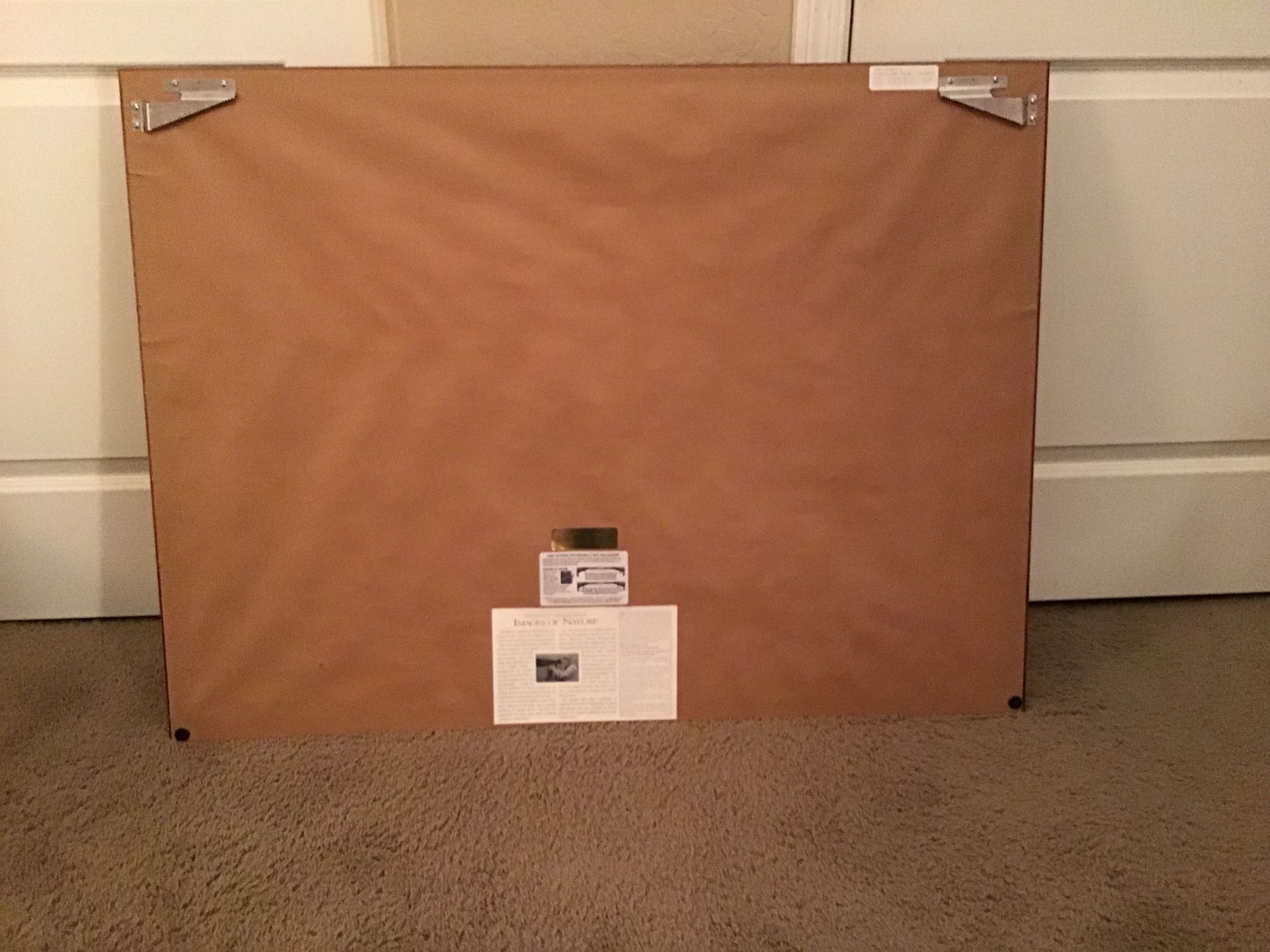 Thomas Mangelsen Limited Edition Print Photo Artwork, The Waiting Game