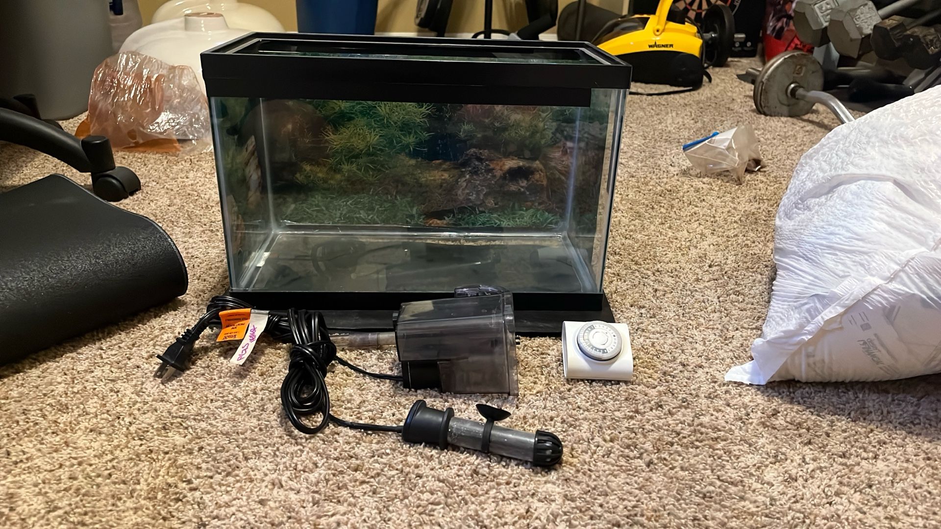 5 Gallon Fish Tank