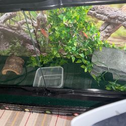 Tank For Sale