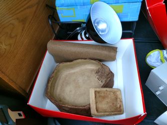 Lizard supplies