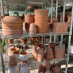 Terracotta Pots
