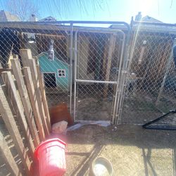 Dog Kennels 