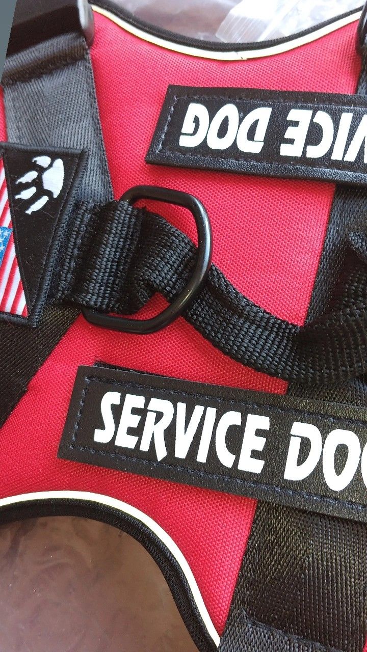 Service Dog Harness