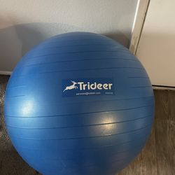 Exercise Ball 