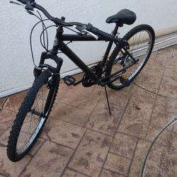Mountain Bike Roadmaster