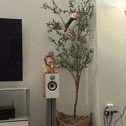 7 ft Artificial Olive Plants with Realistic Leaves and Natural Trunk, Silk Fake Olive Tree in Black